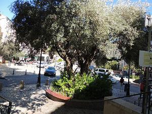 2025 09 25 OULLIOULES PROMENADE (24)